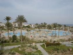   Radisson Sas (Radisson Blue Resort Sharm el Sheikh) 5*