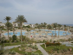 ���� ����� Radisson Sas (Radisson Blue Resort Sharm el Sheikh) 5*