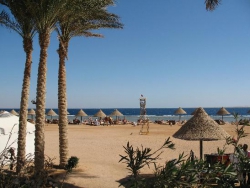 ���� ����� Radisson Sas (Radisson Blue Resort Sharm el Sheikh) 5*