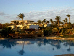 ���� ����� Radisson Sas (Radisson Blue Resort Sharm el Sheikh) 5*
