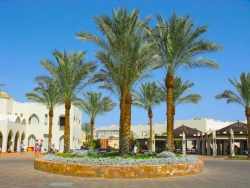 ���� ����� REEF OASIS BEACH RESORT 5*