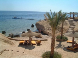 ���� ����� THE RITZ CARLTON 5*