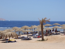 ���� ����� Sea Club Resort (Flash Hotel & Resort) 5*