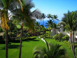 ���� ����� Sea Life Resort 4*