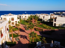 ���� ����� Shores Aloha Club Resort 4*
