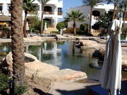 ���� ����� SHORES AMPHORAS RESORT (ex. Amphoras Holiday) 4*