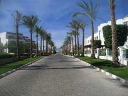 ���� ����� Sol Cyrene 4*