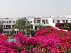 ���� ����� Verginia Sharm 4* (ex.Sol Verginia) 4*