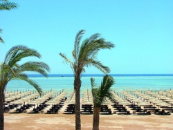 ���� ����� Tropicana Sea Beach 5*