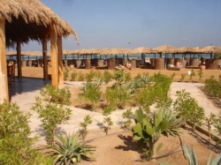 ���� ����� Mosaique Hotel 4*