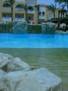 ���� ����� Albatros Aqua Blue Resort 4*