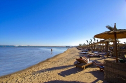 ���� ����� Beach Albatros Garden 4*