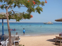 ���� ����� Golden Rose Hotel 3*
