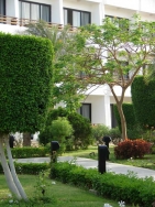 ���� ����� Grand Hotel 4*