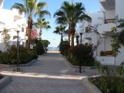 ���� ����� Marlin Inn Beach Resort 4*