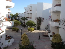���� ����� Marlin Inn Beach Resort 4*
