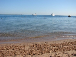 ���� ����� Marlin Inn Beach Resort 4*