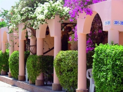 ���� ����� Pharao Hotel  Al Mashrabia Hurgada 4*