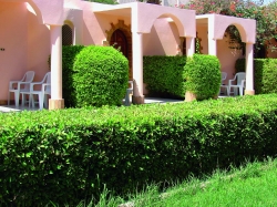 ���� ����� Pharao Hotel  Al Mashrabia Hurgada 4*