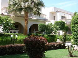 ���� ����� Pharaohotels Waves Resort 3*