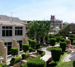 ���� ����� Pharaohotels Waves Resort 3*