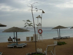 ���� ����� Royal City Hotel 2*