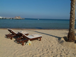 ���� ����� Steigenberger Al Dau Beach 5*