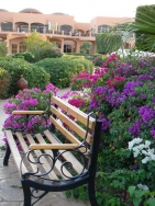 ���� ����� Sentido Crystal Bay Resort (ex. Sunrise Crystal Bay Resort) 4*