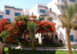 ���� ����� Zahabia Village & Beach Resorts 3*