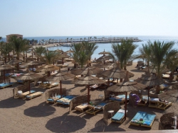 ���� ����� Beach Albatros 5*