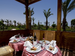 ���� ����� Festival Le Jardin Riviera Resorts 4*