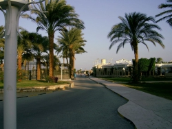 ���� ����� Jasmine Village 4*