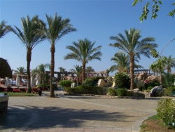 ���� ����� Hurgada Marriott Beach Resort 5*