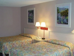 ���� ����� Royal Palace Hotel 4*