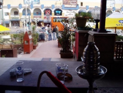 ���� ����� Hurgada SeaGull Hotel & Resort 4*