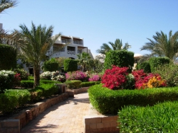 ���� ����� Fort Arabesque 4*