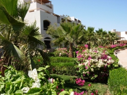 ���� ����� Fort Arabesque 4*