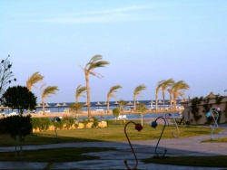 ���� ����� Harmony Makadi Bay Hotel Resort (ex. Domina  Makadi Bay) 5*