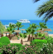 ���� ����� Lotus Bay Safaga 4*