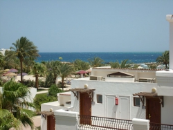 ���� ����� Holiday Inn Safaga 4*