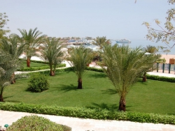 ���� ����� Menaville Safaga 4*