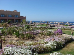 ���� ����� Akassia Swiss Resort 5*