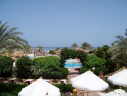 ���� ����� Flamenco Beach Resort El Quseir 4*