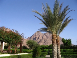 ���� ����� Radisson BLU Resort Taba 5*