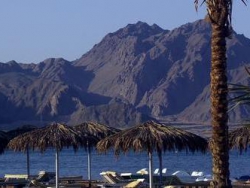 ���� ����� Sonesta Beach Resort Taba 5*