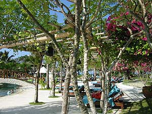 ���� ����� Westin Resort 5*