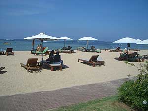 ���� ����� The Oasis Beach Resort Spa 3*