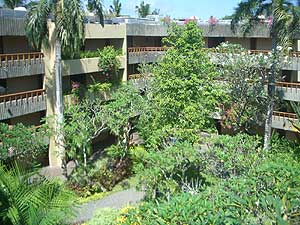 ���� ����� Bali Hyatt 5*