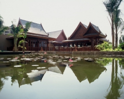 ���� ����� Mangrove 5*