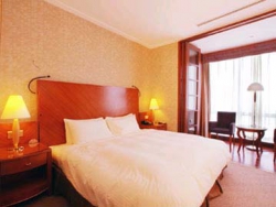 ���� ����� Nikko Hotels International Oriental Palace 5*